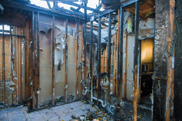 Professional Soot Cleanup technician working in Brownton, MN
